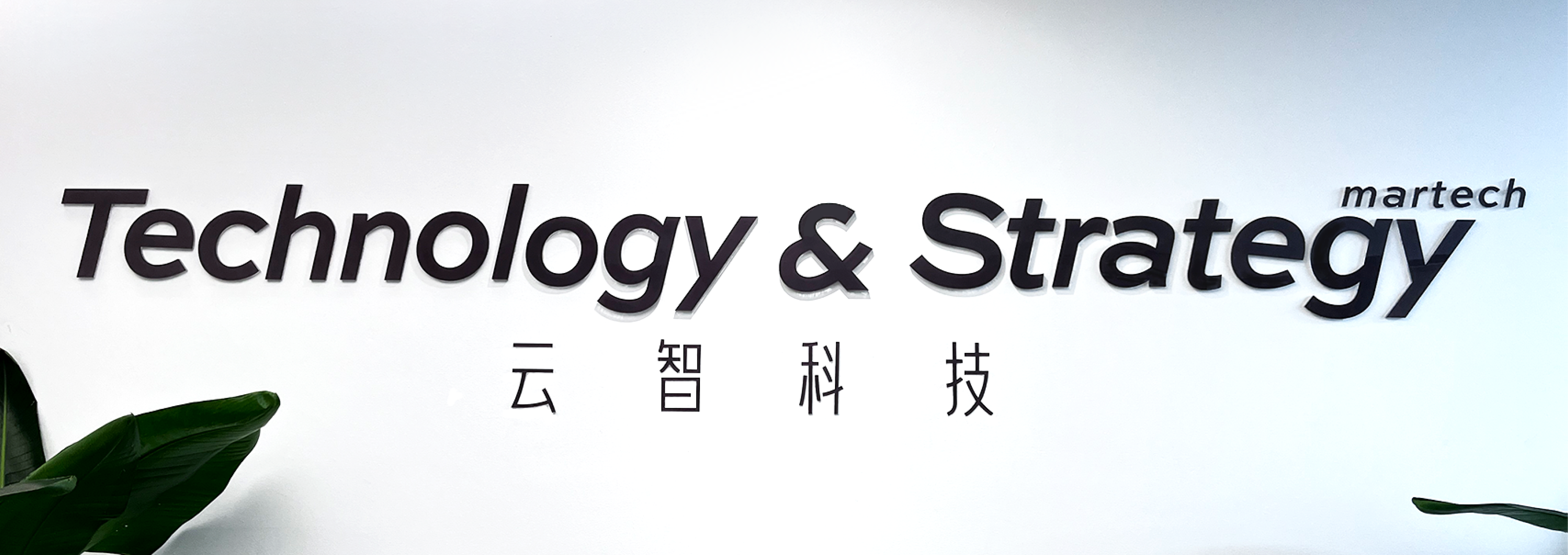 Homepage Background 2